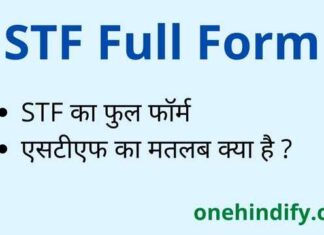 STF Full Form in Hindi and English – एसटीएफ का फुल फॉर्म क्या है ? STF Full Form in Hindi and English - एसटीएफ का फुल फॉर्म क्या है ?