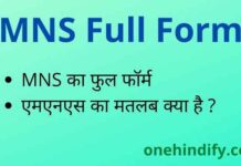MNS Full Form in Hindi & English – एमएनएस का फुल फॉर्म क्या है ? MNS Full Form in Hindi & English - एमएनएस का फुल फॉर्म क्या है ?